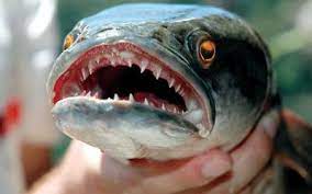 3887547a64a675-e047-4804-82a5-ddcfe4661eb4