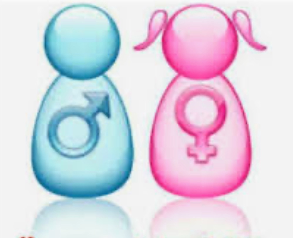 Is Sexual Education a Shield of Protection or a Gateway to Corruption?