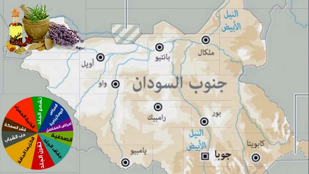 Dr. Abdelaty Elmannaee completes preparing the environmental health tourism map for South Sudan