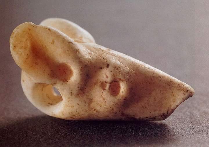 تأملات في الإنسان القديم - بشار خليف